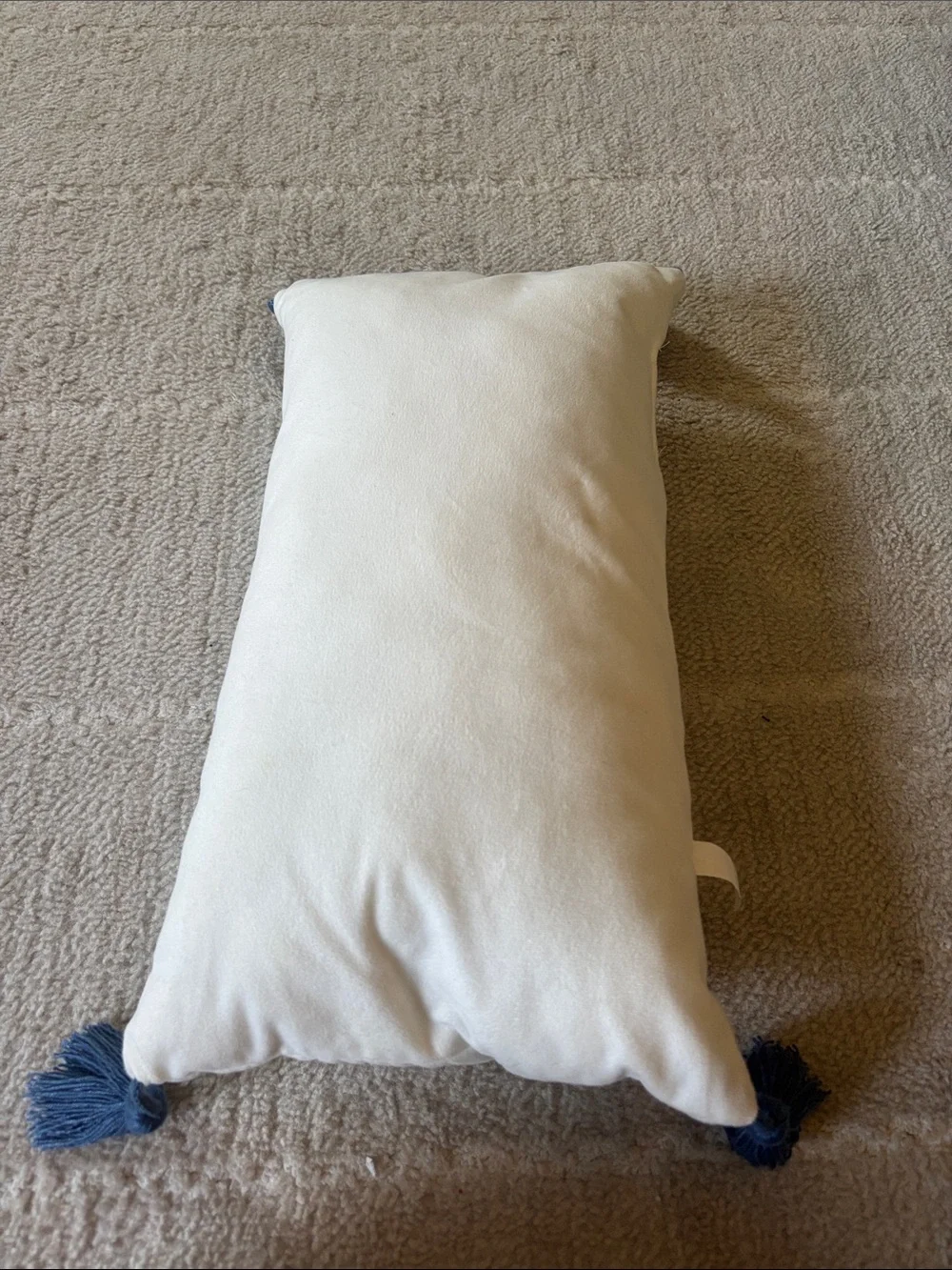 Thankful Decorative Accent Pillow - Navy on Cream